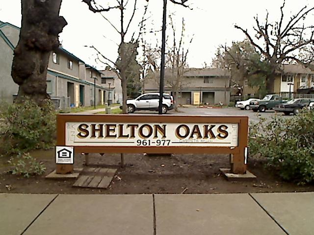 Shelton Oaks